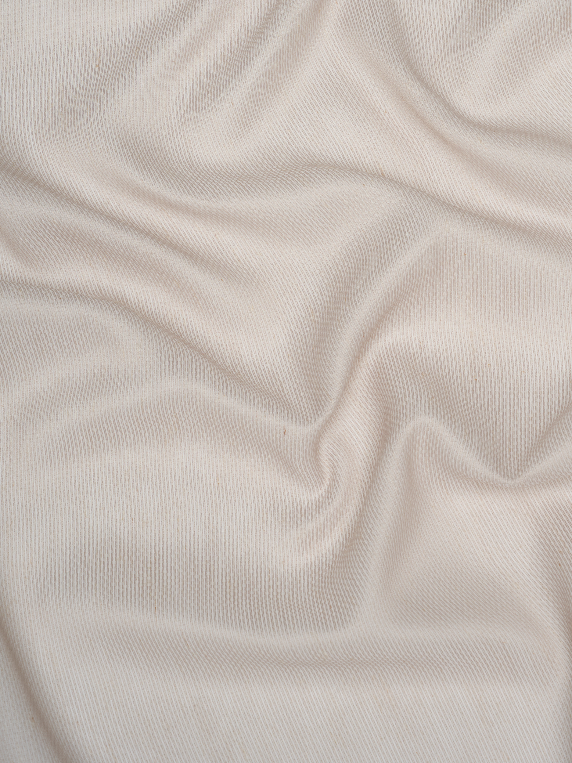 Suite ABBA 03 Corda mossa 1