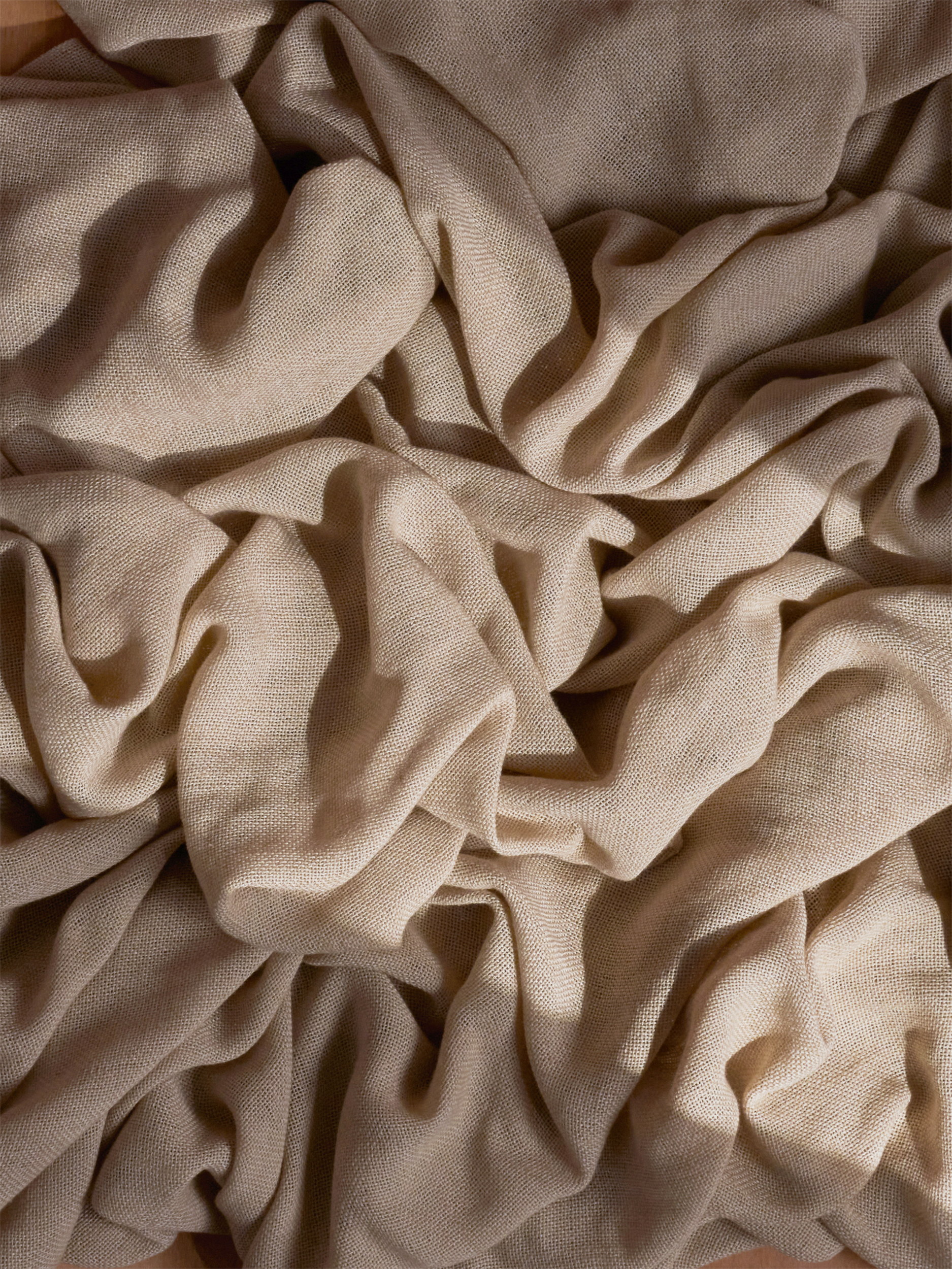 Decortex 24288 copia